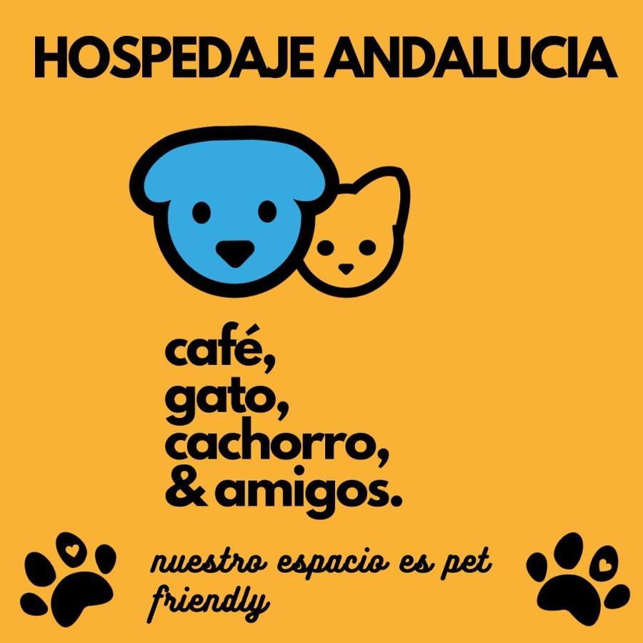 Hostel Casa Andalucia Florianópolis Zewnętrze zdjęcie